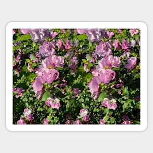 Hibiscus Display Sticker